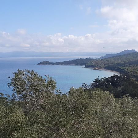 Porquerolles - Nuit Insolite A Bord Du Defi Fou Exterior photo